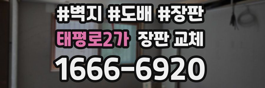 태평로2가 장판 교체