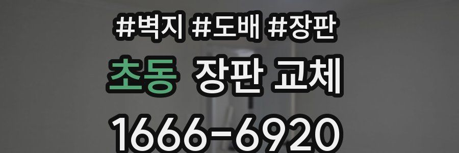 초동 장판 교체