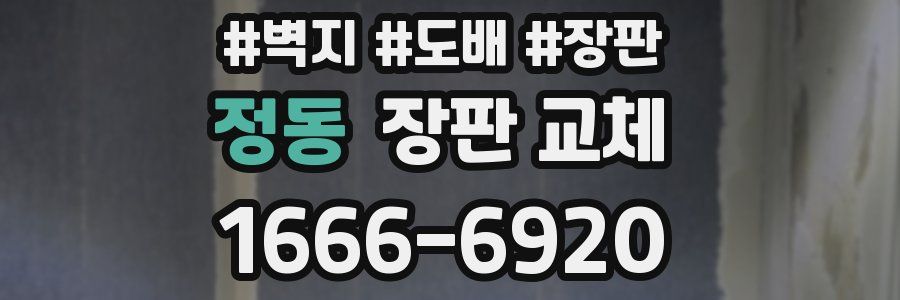 정동 장판 교체