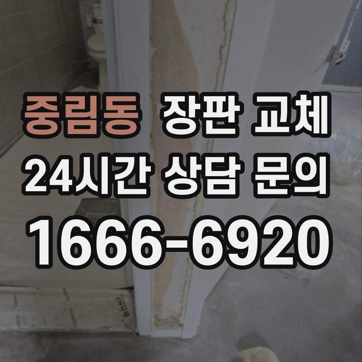 중림동 장판 교체