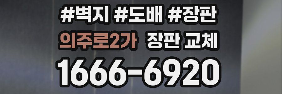 의주로2가 장판 교체