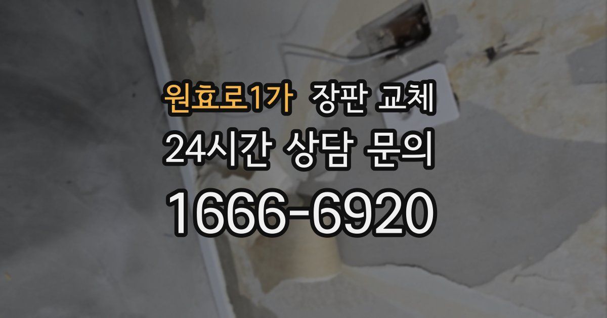 원효로1가 장판 교체