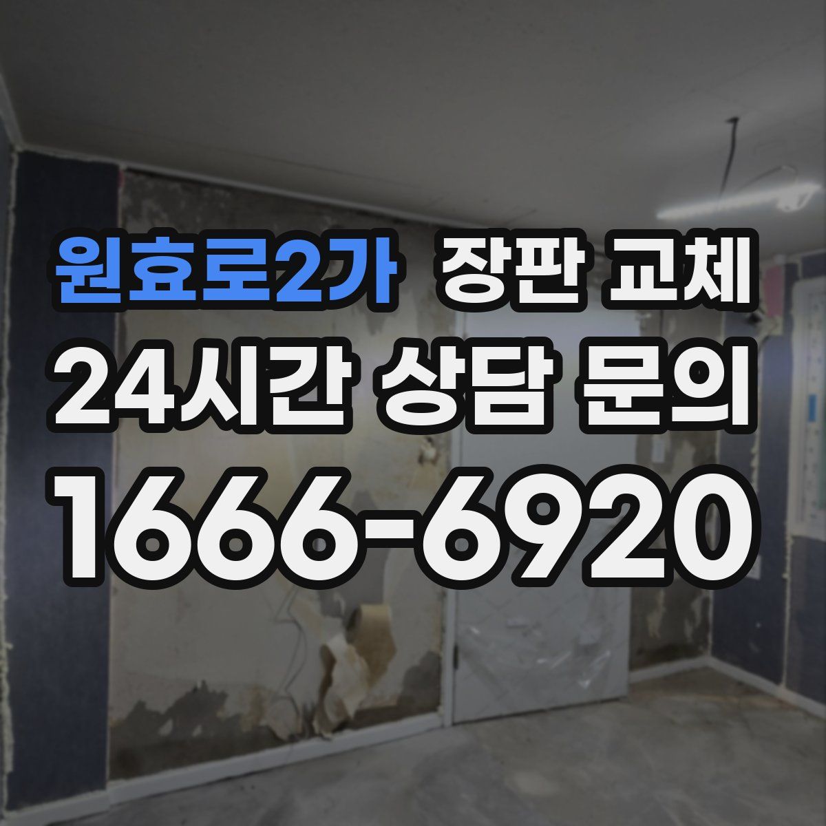 원효로2가 장판 교체