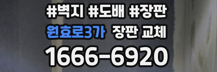 원효로3가 장판 교체