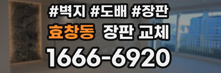 효창동 장판 교체
