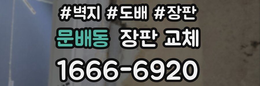 문배동 장판 교체