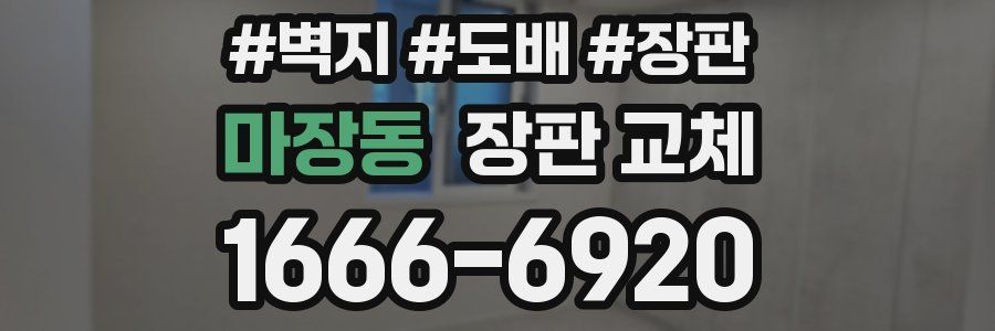 마장동 장판 교체