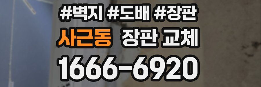 사근동 장판 교체