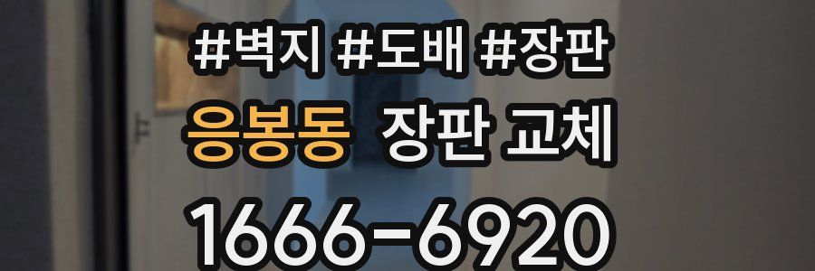 응봉동 장판 교체