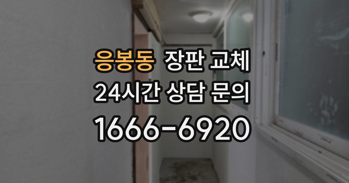 응봉동 장판 교체