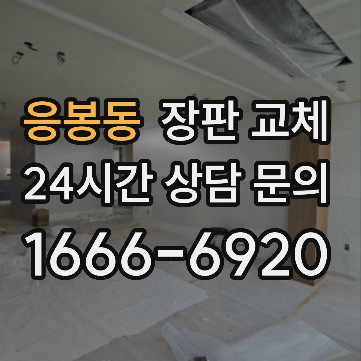 응봉동 장판 교체