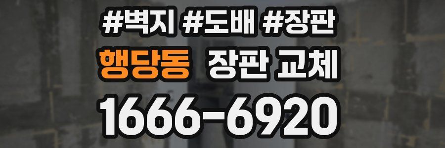 행당동 장판 교체