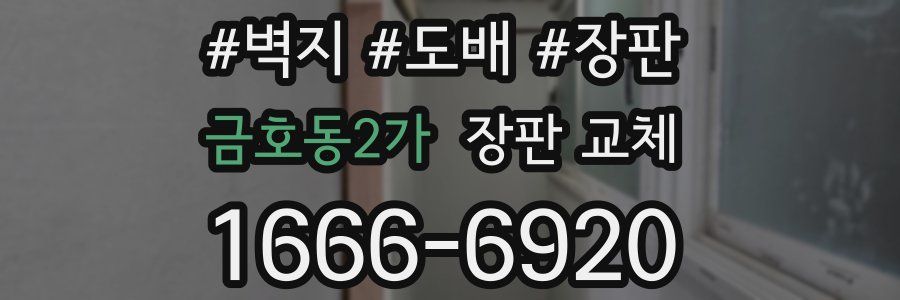 금호동2가 장판 교체