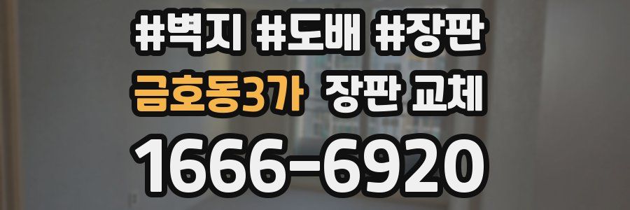 금호동3가 장판 교체