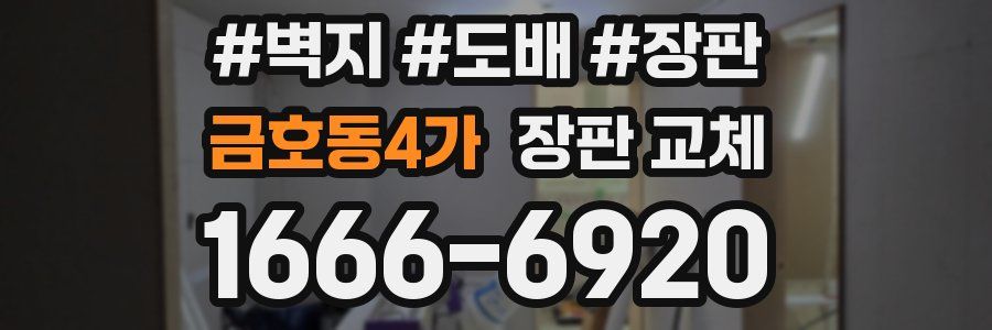 금호동4가 장판 교체