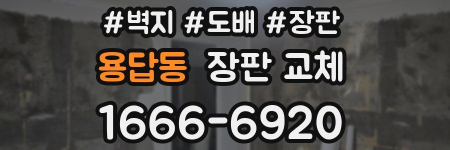용답동 장판 교체