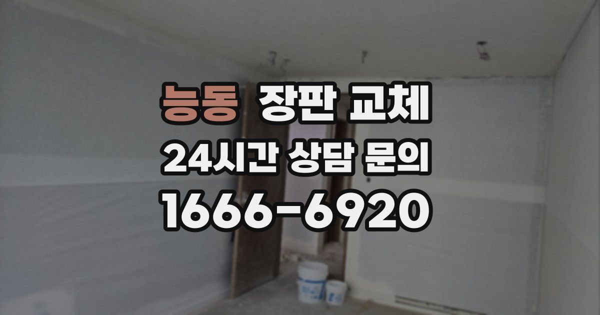 능동 장판 교체