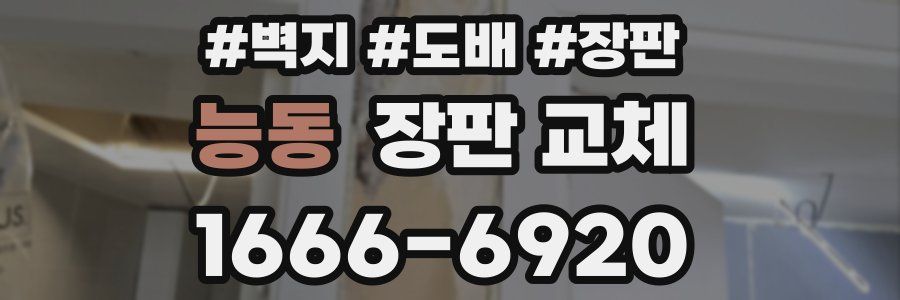 능동 장판 교체