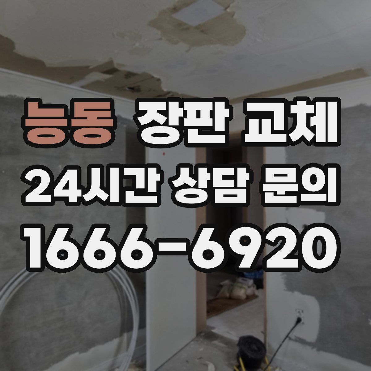 능동 장판 교체