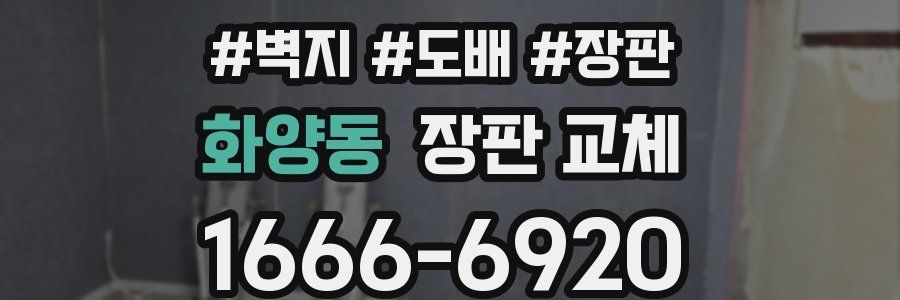 화양동 장판 교체