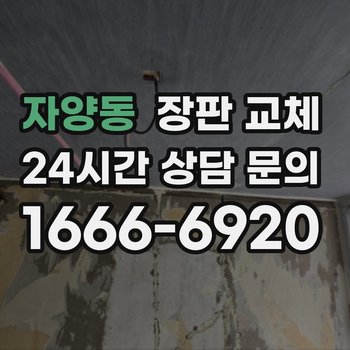 자양동 장판 교체
