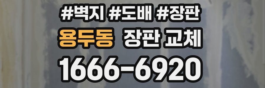 용두동 장판 교체