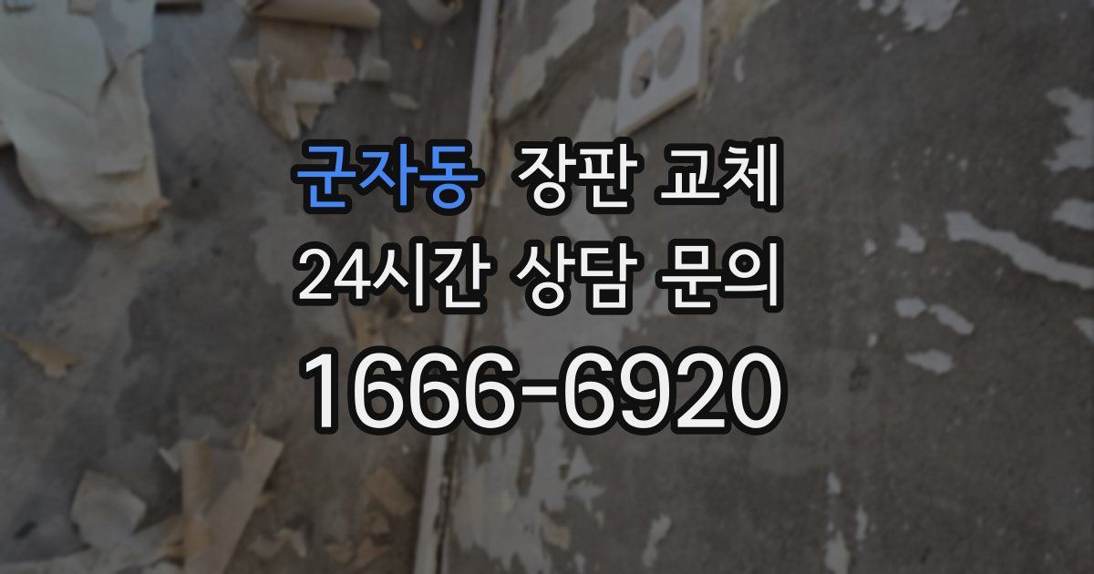 군자동 장판 교체