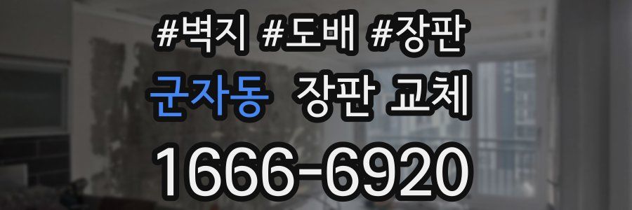 군자동 장판 교체