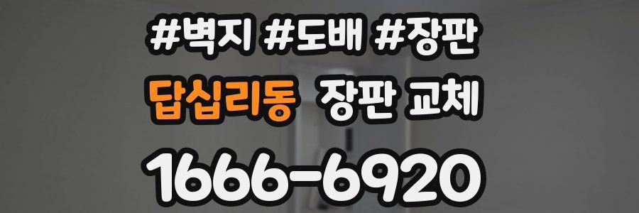 답십리동 장판 교체