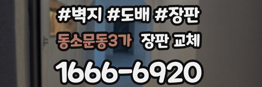동소문동3가 장판 교체