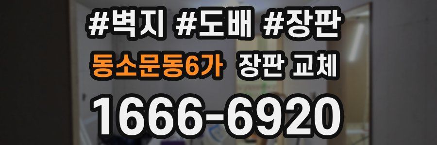 동소문동6가 장판 교체