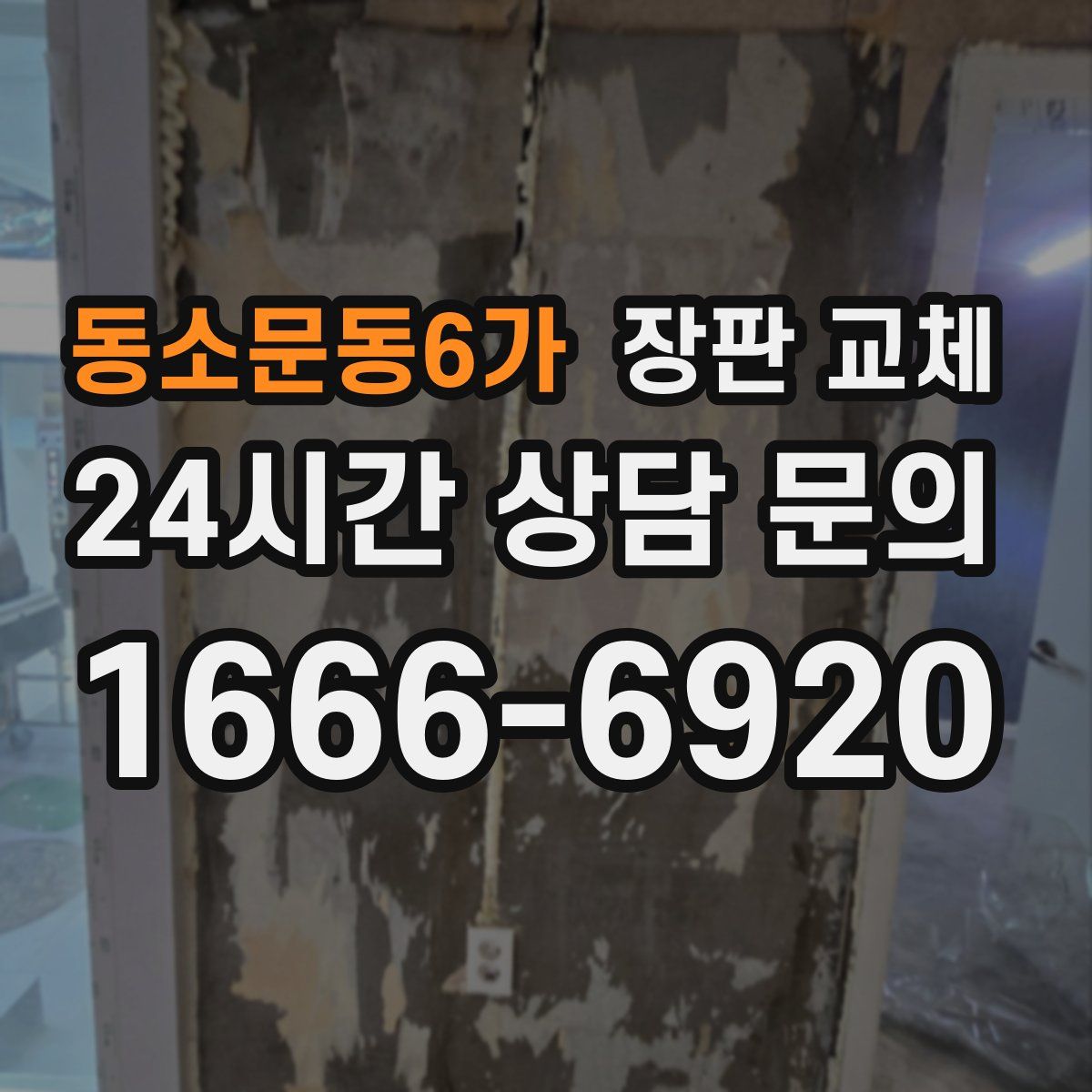동소문동6가 장판 교체