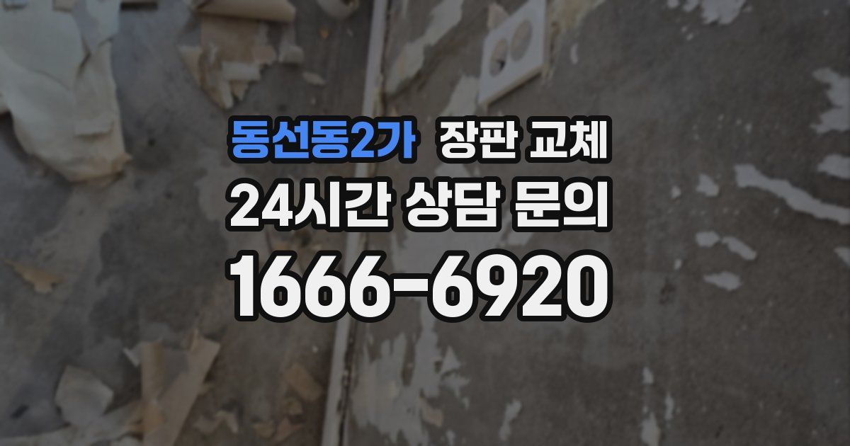 동선동2가 장판 교체