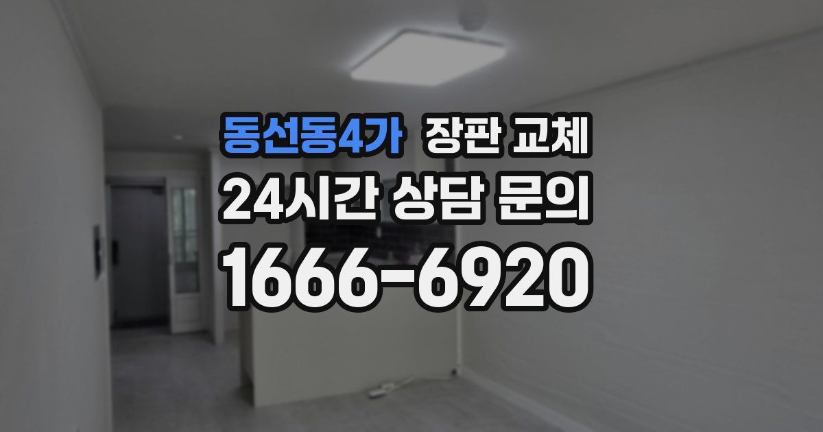 동선동4가 장판 교체