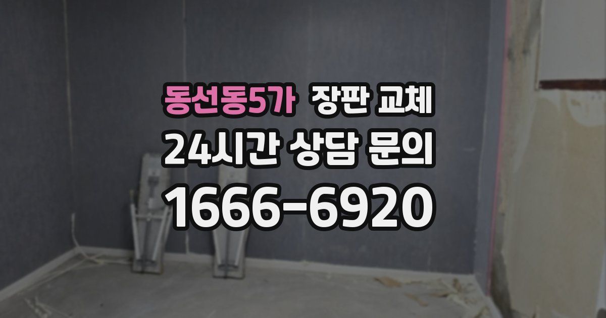 동선동5가 장판 교체