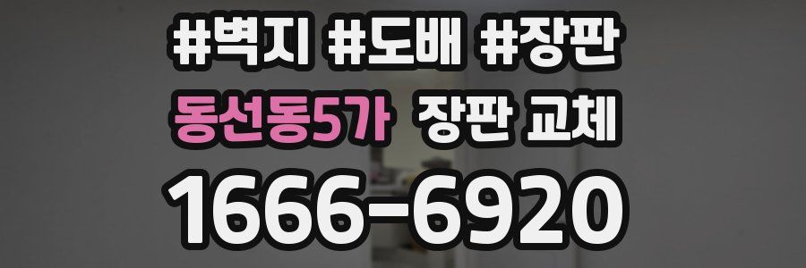 동선동5가 장판 교체