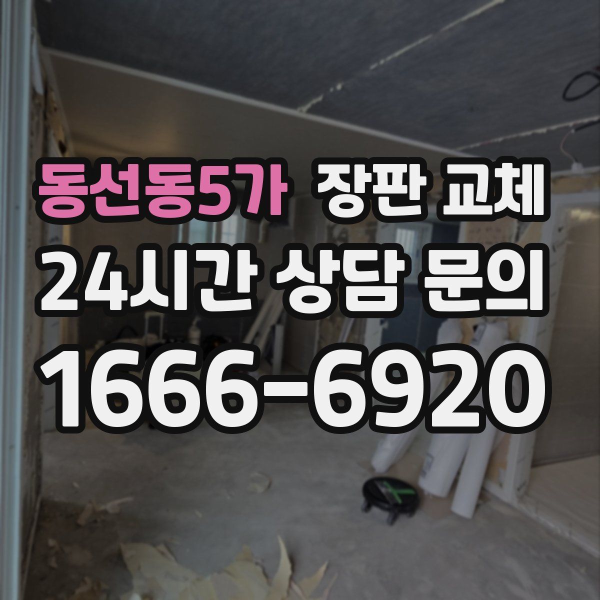 동선동5가 장판 교체
