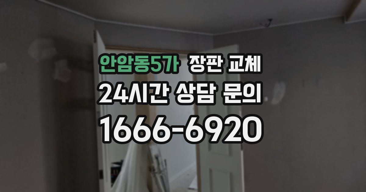 안암동5가 장판 교체