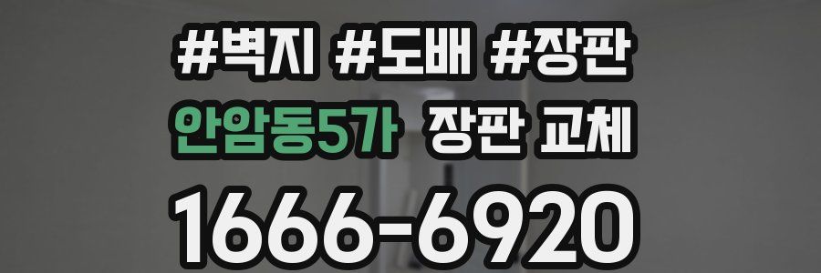 안암동5가 장판 교체