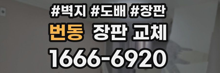 번동 장판 교체