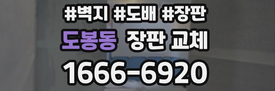 도봉동 장판 교체