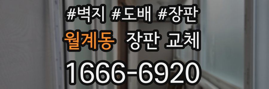 월계동 장판 교체