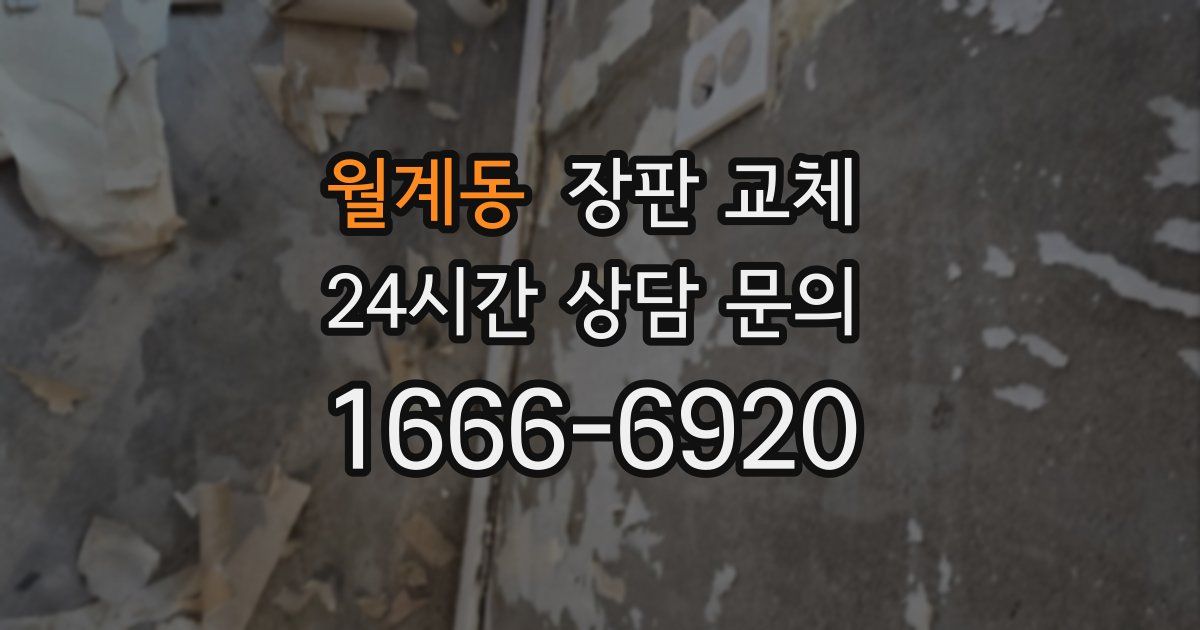 월계동 장판 교체