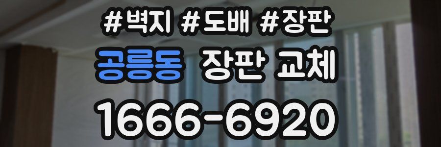 공릉동 장판 교체