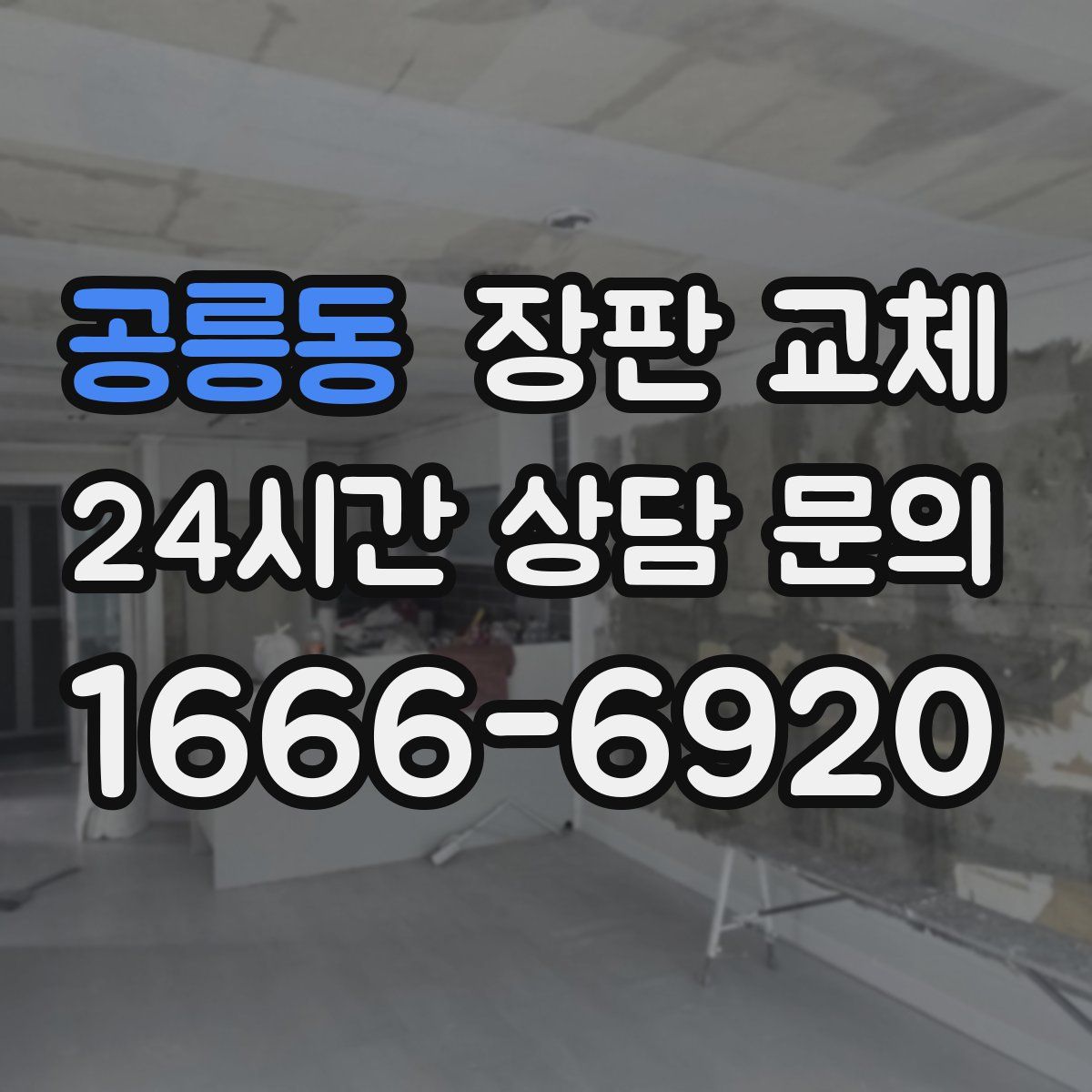 공릉동 장판 교체