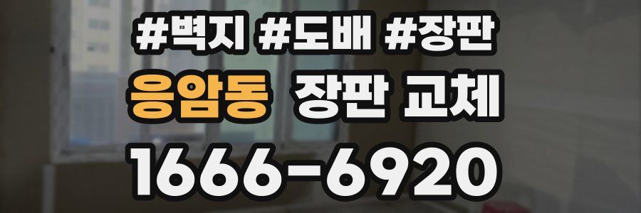 응암동 장판 교체