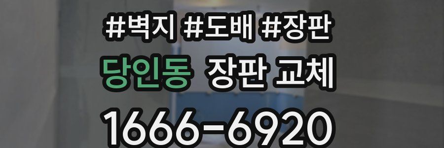 당인동 장판 교체