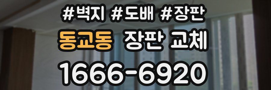 동교동 장판 교체