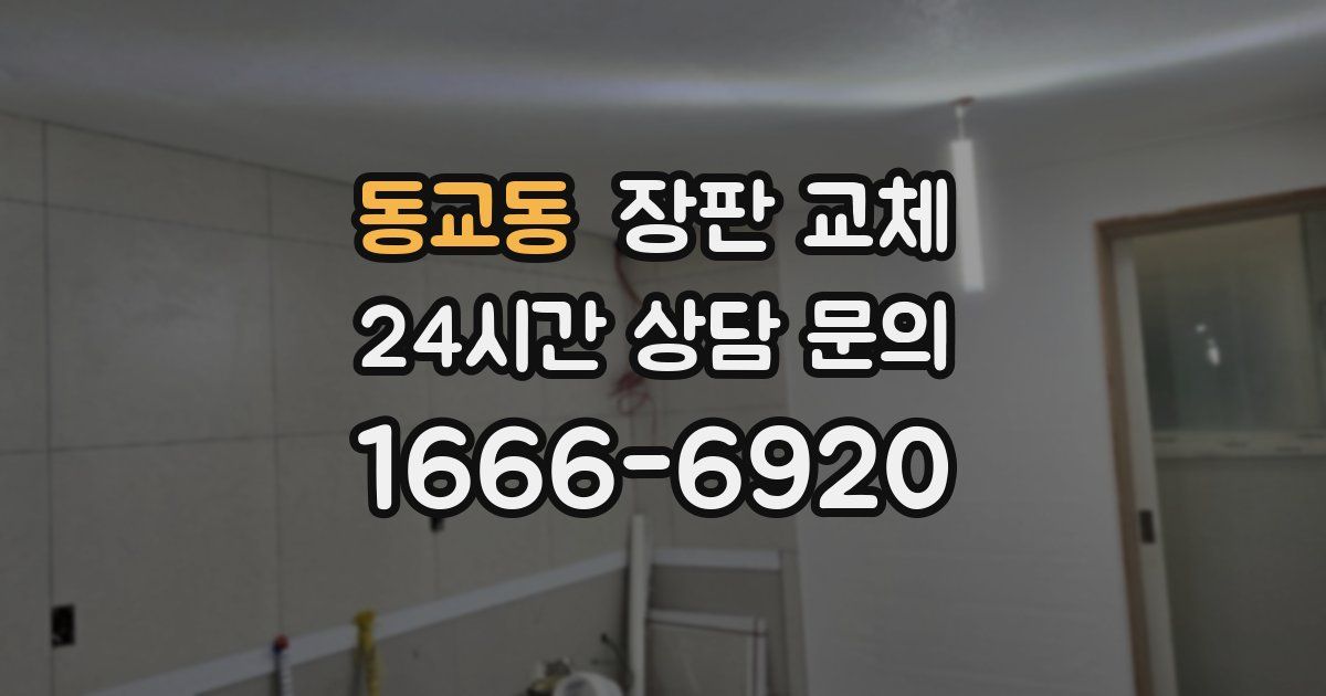 동교동 장판 교체