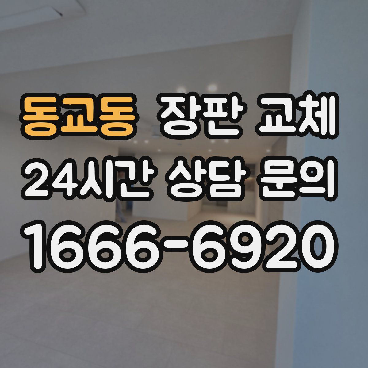 동교동 장판 교체